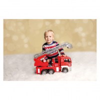 Bruder MAN TGA – Противпожарно возило со скала, пумпа за вода, сирена и трепкачко светло