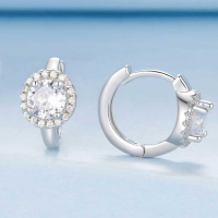 Сребрени обетки Shining Diamonds