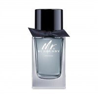 BURBERRY Mr. Burberry Indigo EDT 100 ml