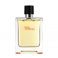 HERMES Terre d'Hermes EDT 50 ml