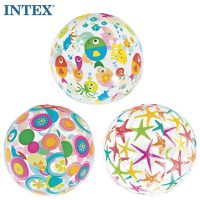 intex-59050-ball-800x800
