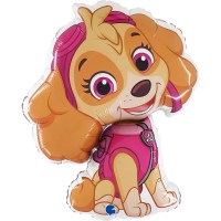 paw-patrol-sky
